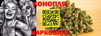 гашик Будённовск