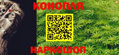 гашик Будённовск