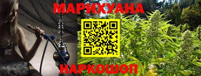 гашик Будённовск
