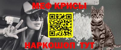 гашик Будённовск