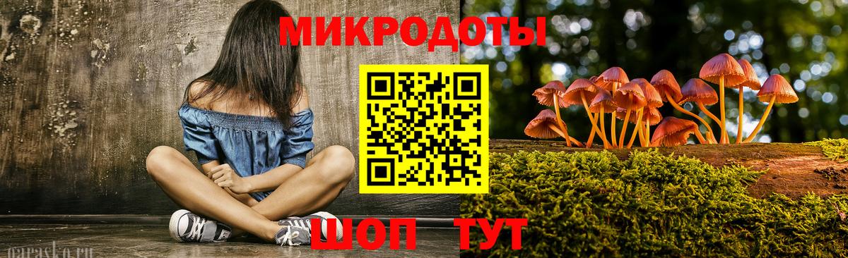 Галлюциногенные грибы Psilocybine cubensis Щёлково