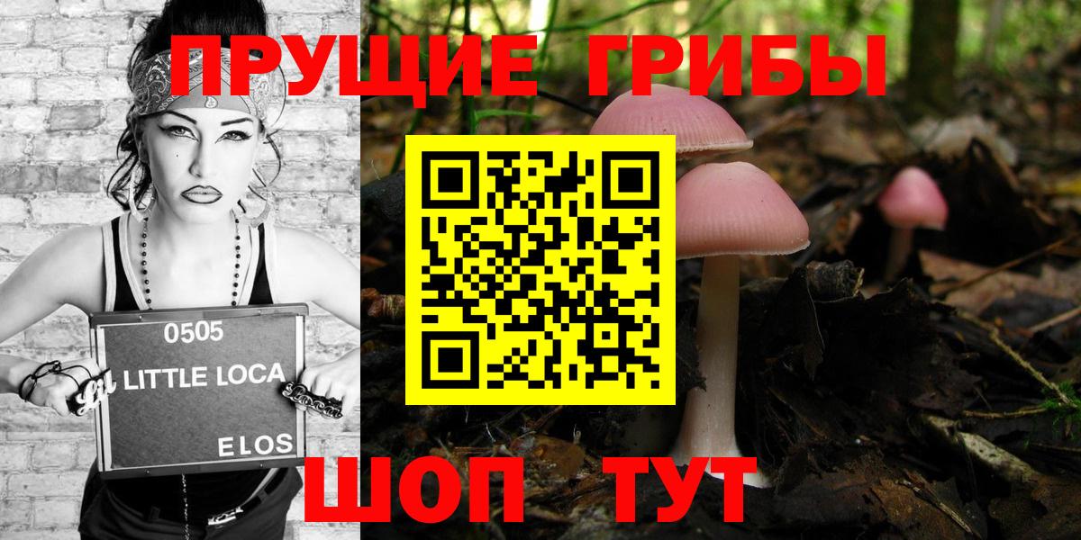 наркота  Галлюциногенные грибы Psilocybine cubensis  Щёлково  Вход с VPN  Галлюциногенные грибы Magic Shrooms 